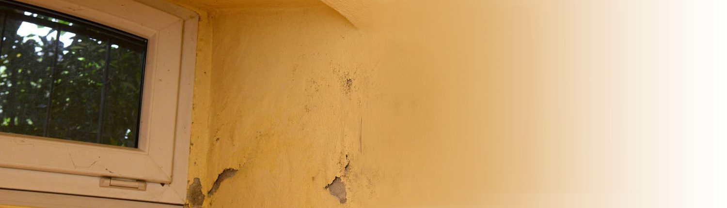 Wand, Mauer, Schimmel, Feuchtigkeit, BeschÃ¤digung, Keller, Trockenlegung, Kellertrockenlegung