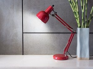 Büro, rot, modern, Pflanze