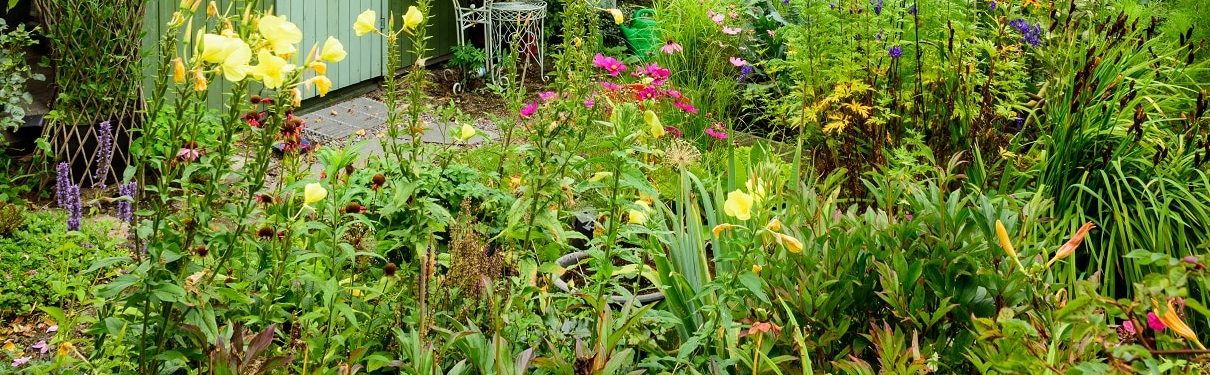 Tipp zum Bau informiert Sie über Mischkulturen in Hochbeet.