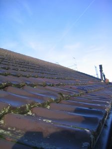 Tipp zum Bau informiert Sie zur Pflege und Reinigung Ihres Mansarddachs.