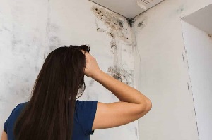 Bei ausbleibender Reparatur Ihrer Dachentwässerung drohen feuchte Wände. Tipp zum Bau bietet Abhilfe.