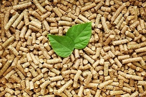 Nicht alle Brennstoffe dürfen Sie verbrennen. Einige setzen durch die Verbrennung umweltschädliche Stoffe wie Salzsäure, Flusssäure, Dioxine und Furane frei.