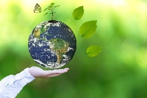 Tipp zum Bau erklärt Ihnen alles Wissenswerte über Scheitholz für die Biomasseheizung.